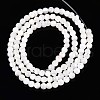 Natural Trochid Shell/Trochus Shell Beads Strands SSHEL-N040-07-2