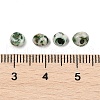 Picasso Glass Seed Beads SEED-Q038-03K-3