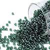 TOHO Round Seed Beads SEED-XTR11-0118-1