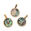 PVD Vacuum Plating 304 Stainless Steel with Paua Shell Pendants STAS-G268-02J-G-1