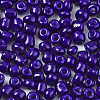 6/0 Glass Seed Beads SEED-S058-A-F304-3
