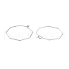 316 Stainless Steel Hoop Earrings Findings STAS-C029-03P-1