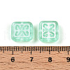 Transparent Acrylic Beads TACR-T028-53-3