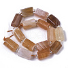 Natural Botswana Agate Beads Strands G-N327-04-02-1-2