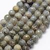 Natural Labradorite Beads Strands G-P322-32-4mm-1