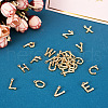 Alloy Pendants PALLOY-S137-001-NR-4