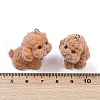 Flocky Resin Pendants FIND-A052-06K-3