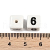 Handmade Porcelain Beads PORC-R003-07-06-3