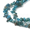 Natural Apatite Beads Strands G-G0003-B08-01-3
