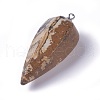 Natural Picture Jasper Pointed Pendants G-E541-10C-2