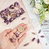 SUPERFINDINGS 50Pcs Natural Amethyst Pendants FIND-FH0005-16-3