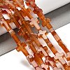 Natural Red Agate(Dyed & Heated) Beads Strands G-I337-A02-01-1