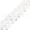 Natural Quartz Crystal Beads Strands G-N342-2