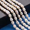 Natural Cultured Freshwater Pearl Beads Strands X1-PEAR-S012-41E-5