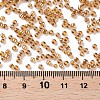 (Repacking Service Available) Glass Seed Beads SEED-C015-2mm-102C-3