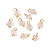 Electroplate Glass Charms PALLOY-JF04004-4