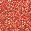 Transparent Glass Round Seed Beads SEED-B001-05A-24-3