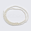 Natural Cultured Freshwater Pearl Beads Strands PEAR-F007-83-2