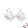 925 Sterling Silver Pendants STER-A043-03A-S-1