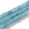 Natural Jade Beads Strands G-C084-A10-06-1