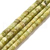 Natural Idocrase Beads Strands G-I339-03A-1