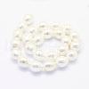 Shell Pearl Beads Strands BSHE-P024-12A-2