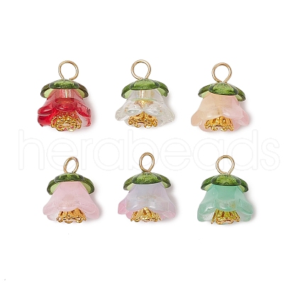 Glass Beads with Transparent Acrylic Bead Caps and Tibetan Style Alloy Daisy Spacer Beads and ABS Plastic Imitation Pearl Beads and Iron Bead Caps Pendants PALLOY-JF03629-1