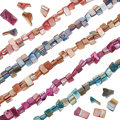 Beebeecraft 5 Strands 5 Colors Dyed Natural Freshwater Shell Beads Strands SHEL-BBC0001-13-1