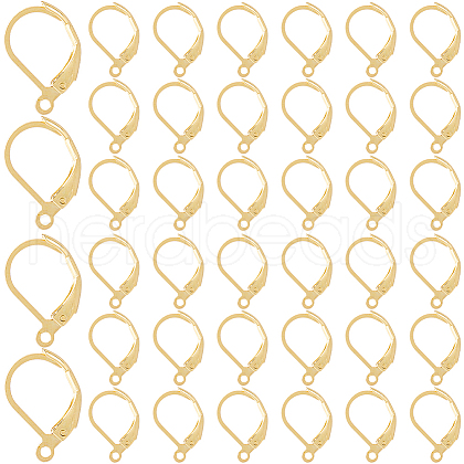 SOFPLATE 304 Stainless Steel Leverback Earring Findings STAS-SP0001-06B-1