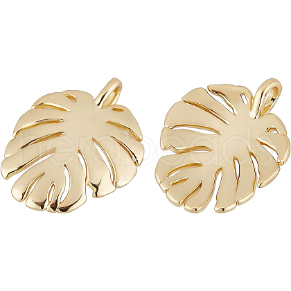 BENECREAT Brass Pendants KK-BC0004-87-1