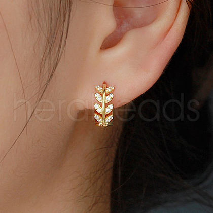 Elegant S925 Sterling Silver Leaf Hoop Earrings SK9972-1-1