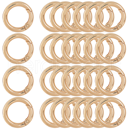 SOFPLATE 30Pcs Alloy Spring Gate Ring FIND-SP0001-48-1