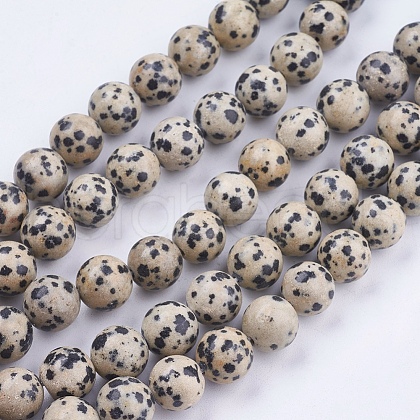 Natural Dalmatian Jasper Stone Bead Strands X-G-R193-14-10mm-1