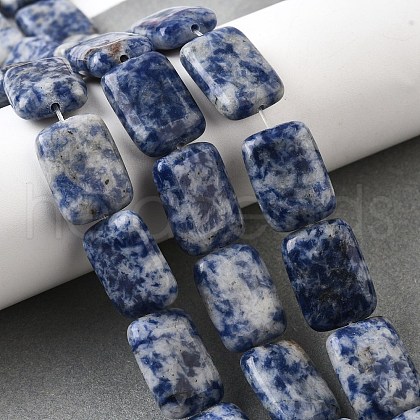 Natural Blue Spot Jasper Beads Strands G-S386-A05-1
