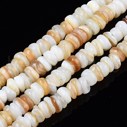 Natural Freshwater Shell Beads Strands SHEL-S278-067G-1