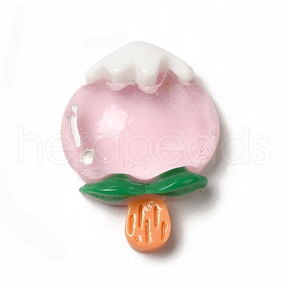 Translucent Resin Imitation Food Decoden Cabochons CRES-A052-01C-1