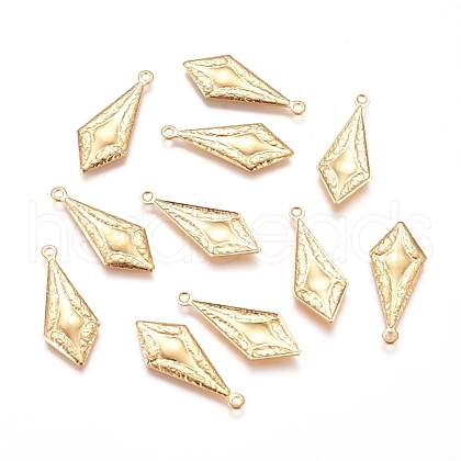 304 Stainless Steel Pendants STAS-D233-13G-1