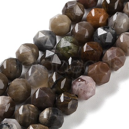 Natural Petrified Wood Beads Strands G-NH0021-A12-01-1