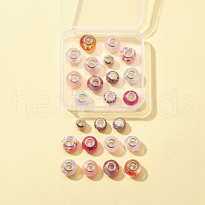 24Pcs 12 Style European Beads DIY-FS0003-45-1