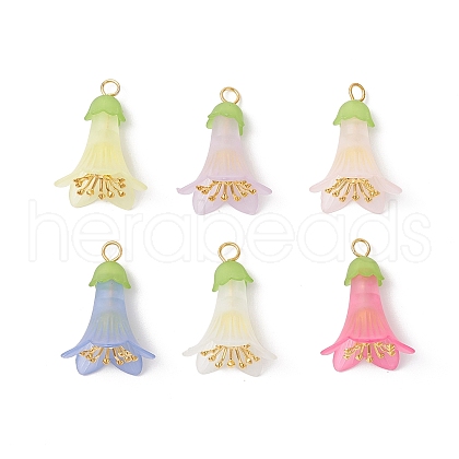 Transparent Acrylic Bead Caps PALLOY-JF03722-1