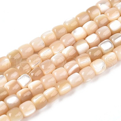 Natural Trochid Shell/Trochus Shell Beads Strands SSHEL-N040-12-1