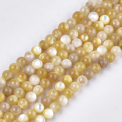 Yellow Shell Beads Strands SHEL-S274-93D-1