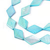 Dyed Natural Freshwater Shell Beads Strands SHEL-T020-13D-3