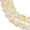 Handmade Millefiori Glass Beads Strands LAMP-H067-01A-3
