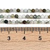 Natural Moss Agate Beads Strands G-RM2025-A33-2mm-5