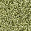 MIYUKI Round Rocailles Beads SEED-JP0010-RR0378-2