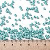 TOHO Round Seed Beads X-SEED-TR08-0413F-4