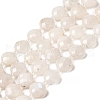 Natural Rainbow Moonstone Beads Strands G-B094-A06-02-2