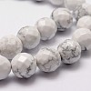 Natural Howlite Beads Strands G-D840-44-12mm-3