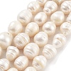 Natural Cultured Freshwater Pearl Beads Strands PEAR-P062-23-2